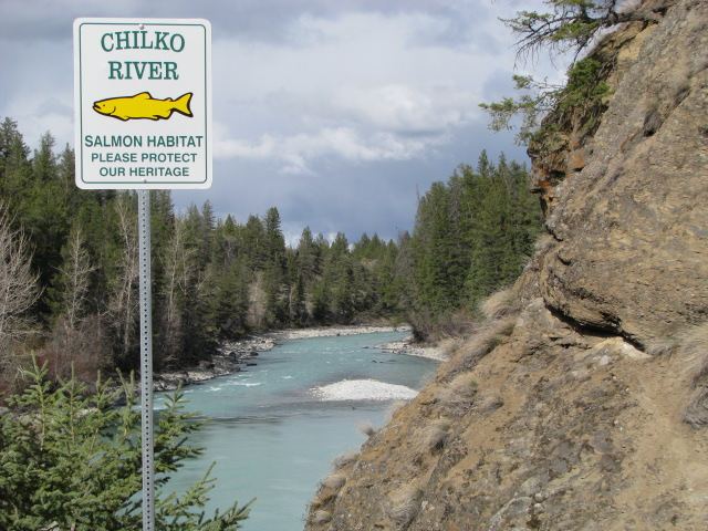 Chilko River, British Columbia