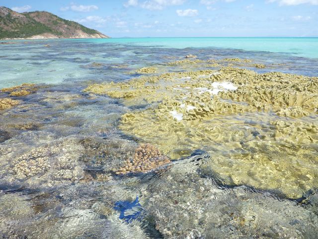Lizard Island, Great Barrier Reef